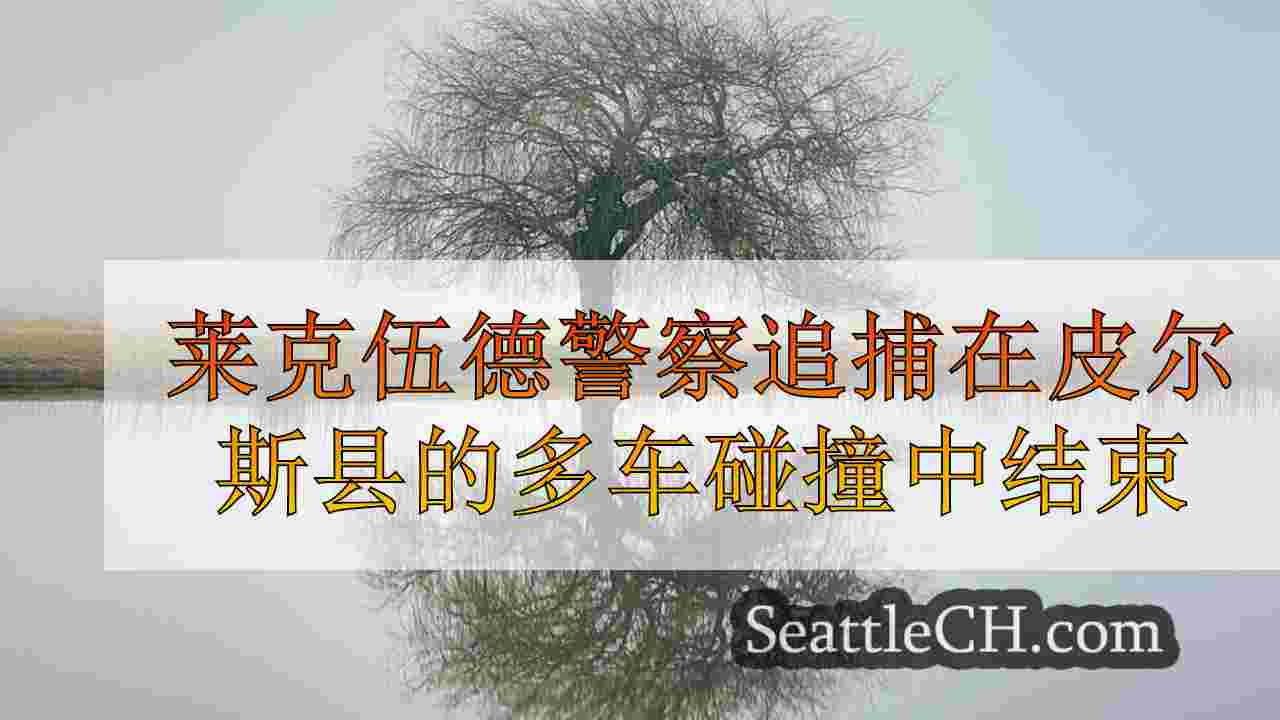 西雅图新闻 SeattleCH