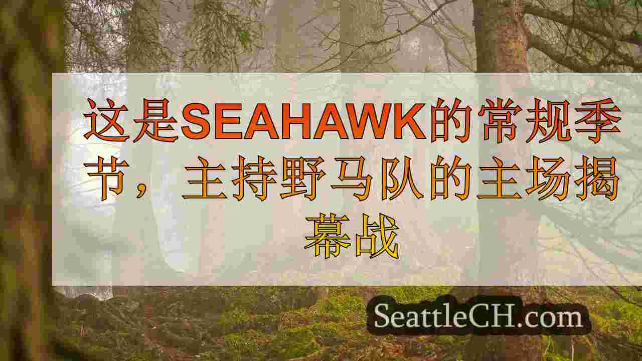 西雅图新闻 SeattleCH