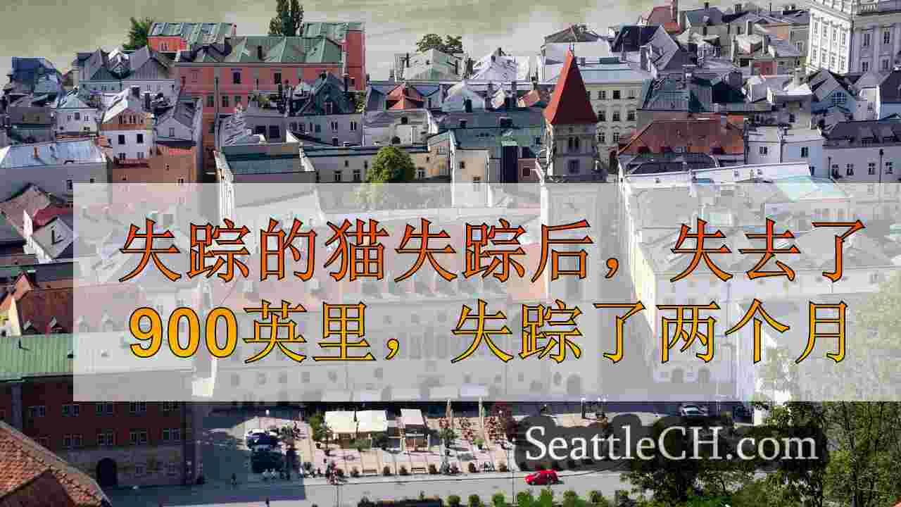 西雅图新闻 SeattleCH
