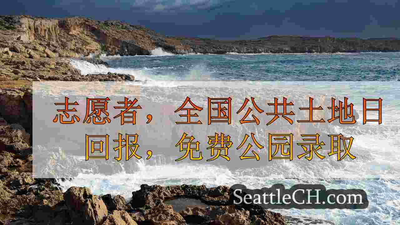 西雅图新闻 SeattleCH
