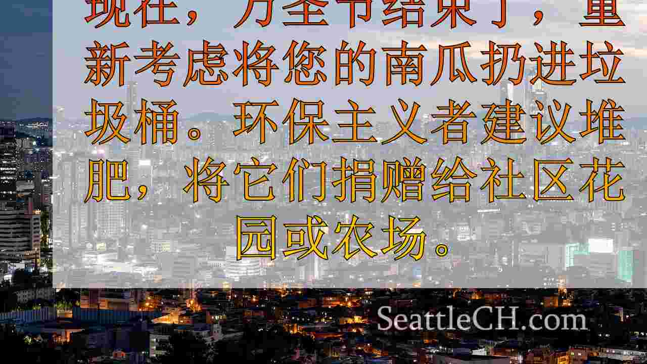 西雅图新闻 SeattleCH