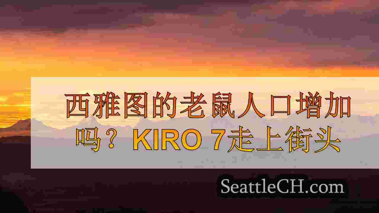 西雅图新闻 SeattleCH