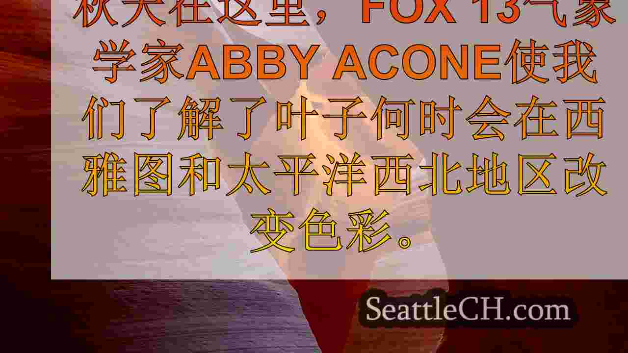 西雅图新闻 SeattleCH