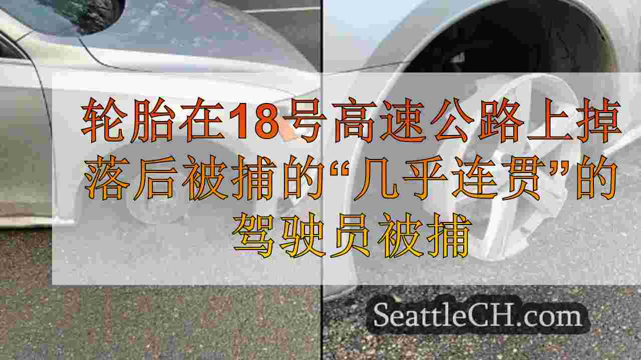 轮胎在18号高速公路上掉落后被捕的“几乎连贯”的驾驶员被捕