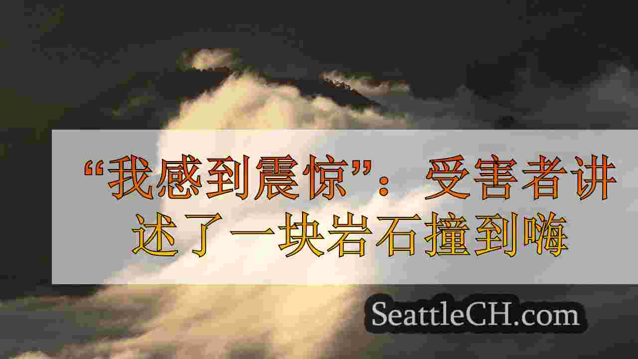 “我感到震惊”：受害者讲述了一块岩石从他的车窗撞倒的那一刻