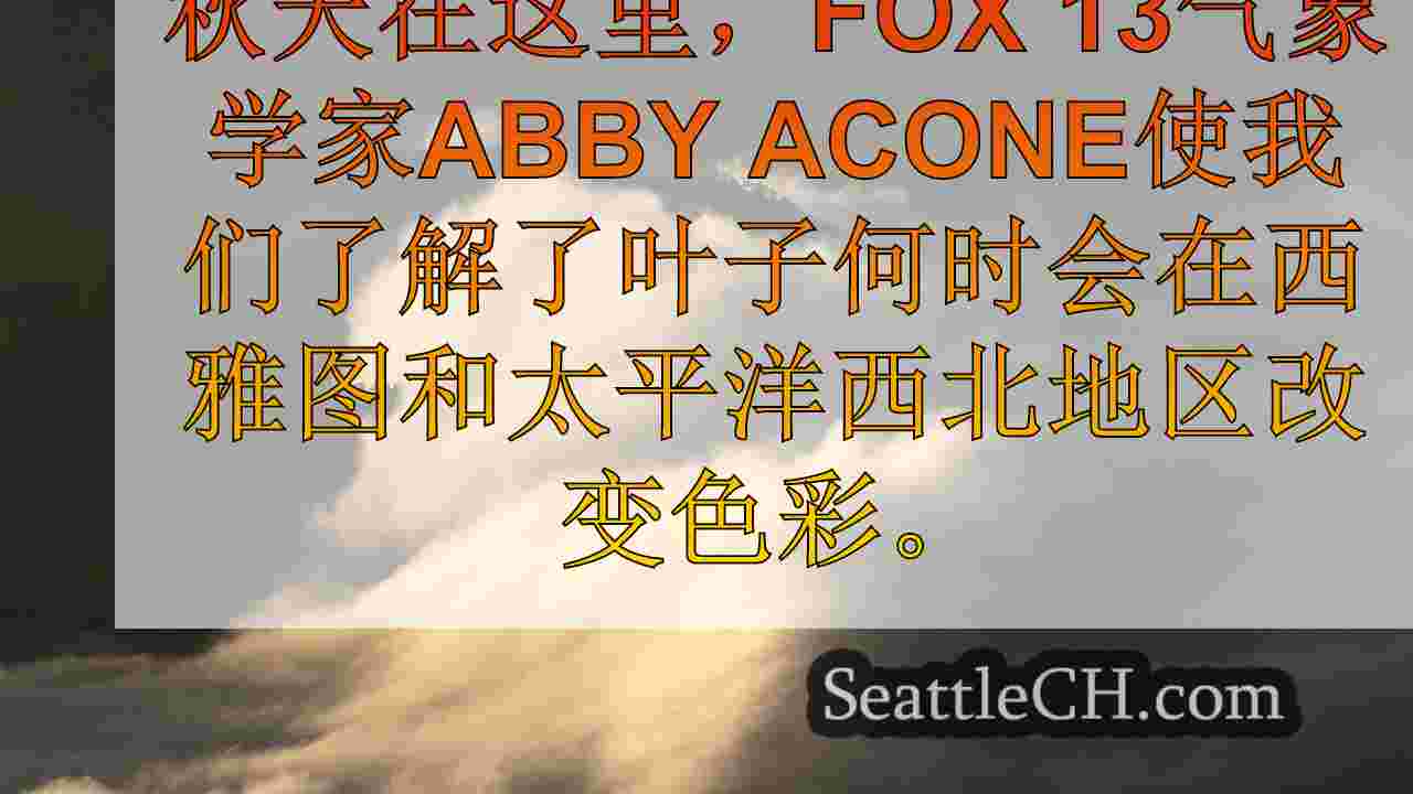 西雅图新闻 SeattleCH