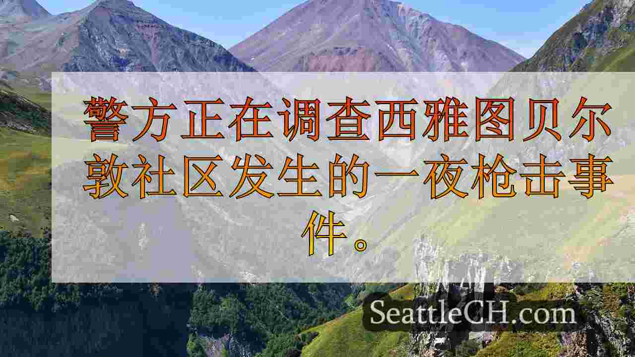 西雅图新闻 SeattleCH