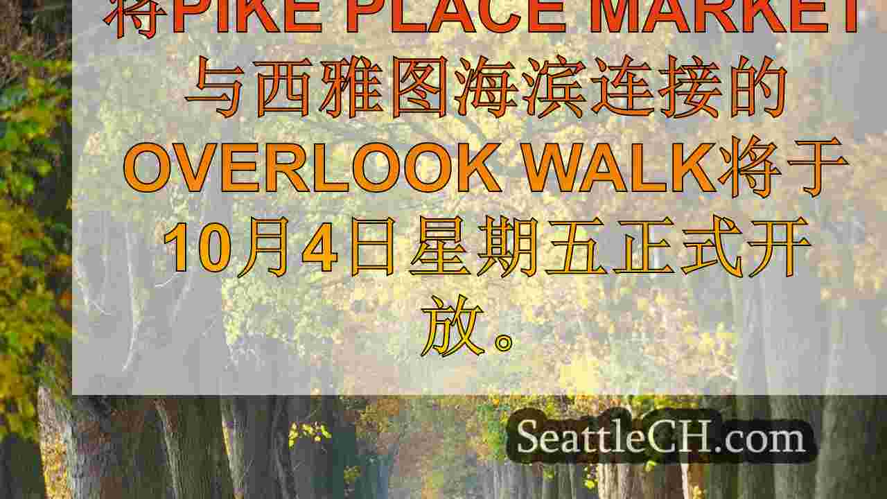 周五开放的西雅图海滨的新“俯瞰步行”计划