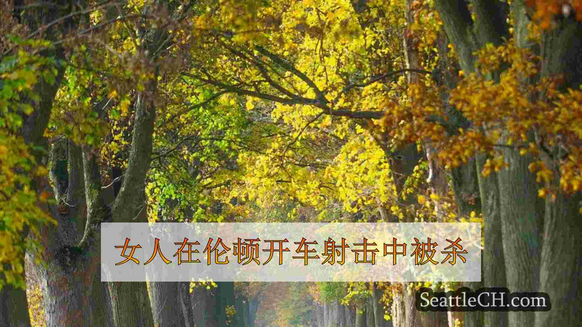 西雅图新闻 SeattleCH