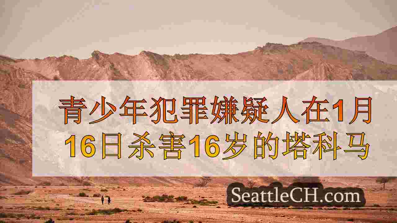 西雅图新闻 SeattleCH
