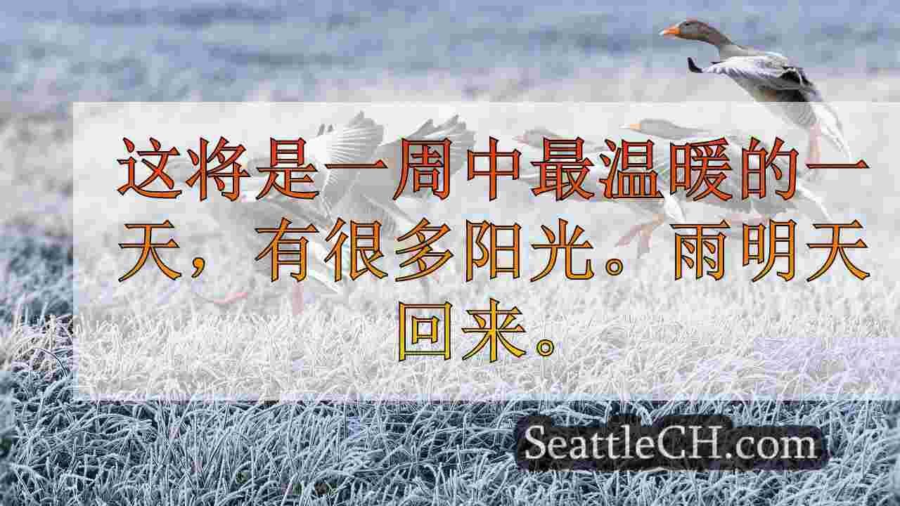 西雅图新闻 SeattleCH
