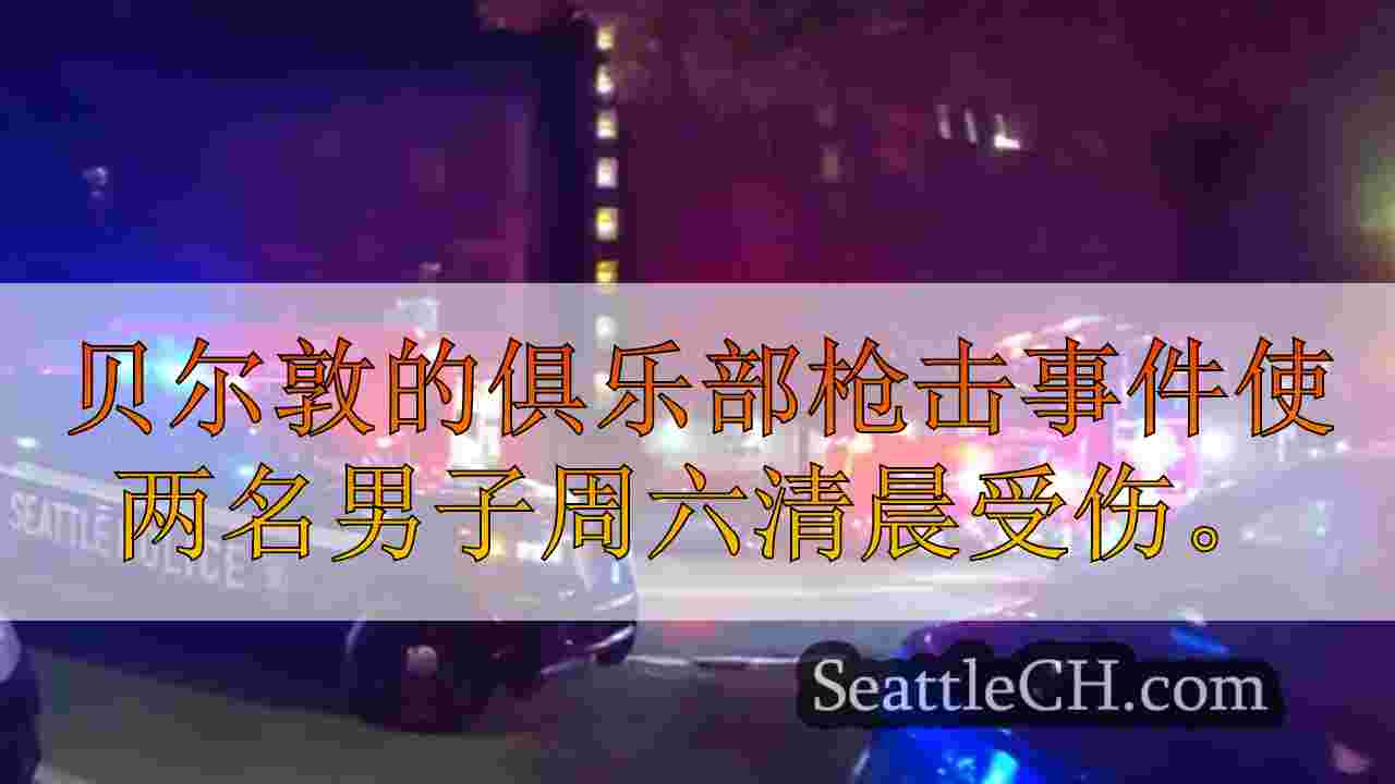 贝尔敦夜总会射击受伤2人