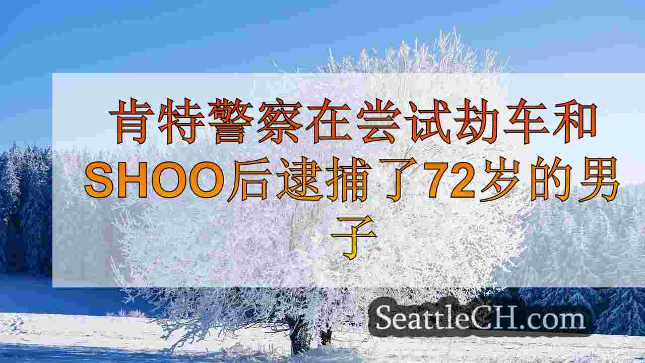 西雅图新闻 SeattleCH