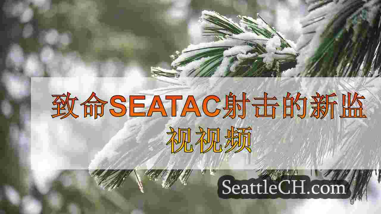 西雅图新闻 SeattleCH