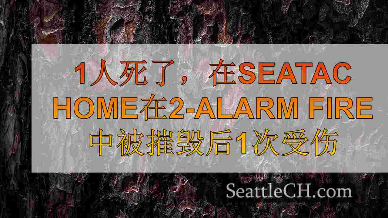 西雅图新闻 SeattleCH