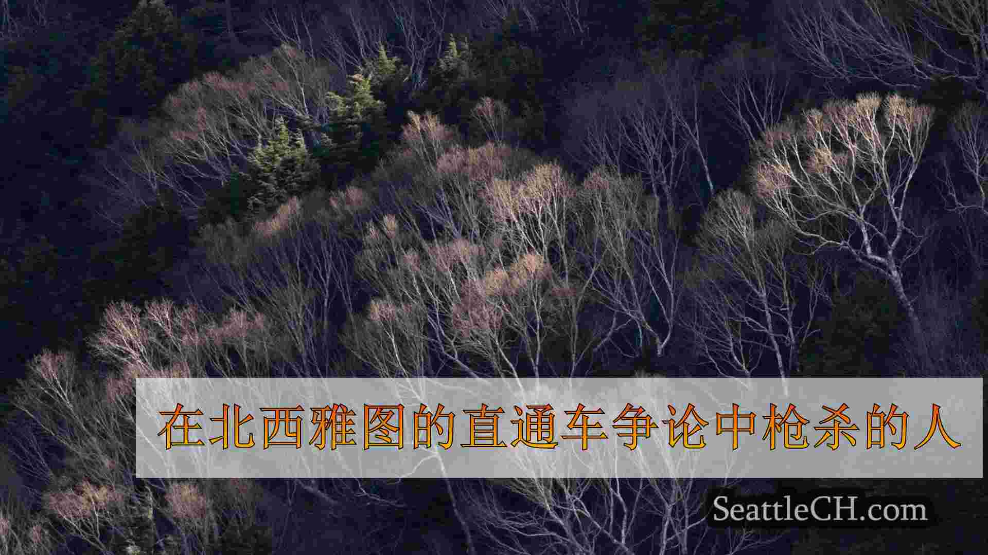 西雅图新闻 SeattleCH