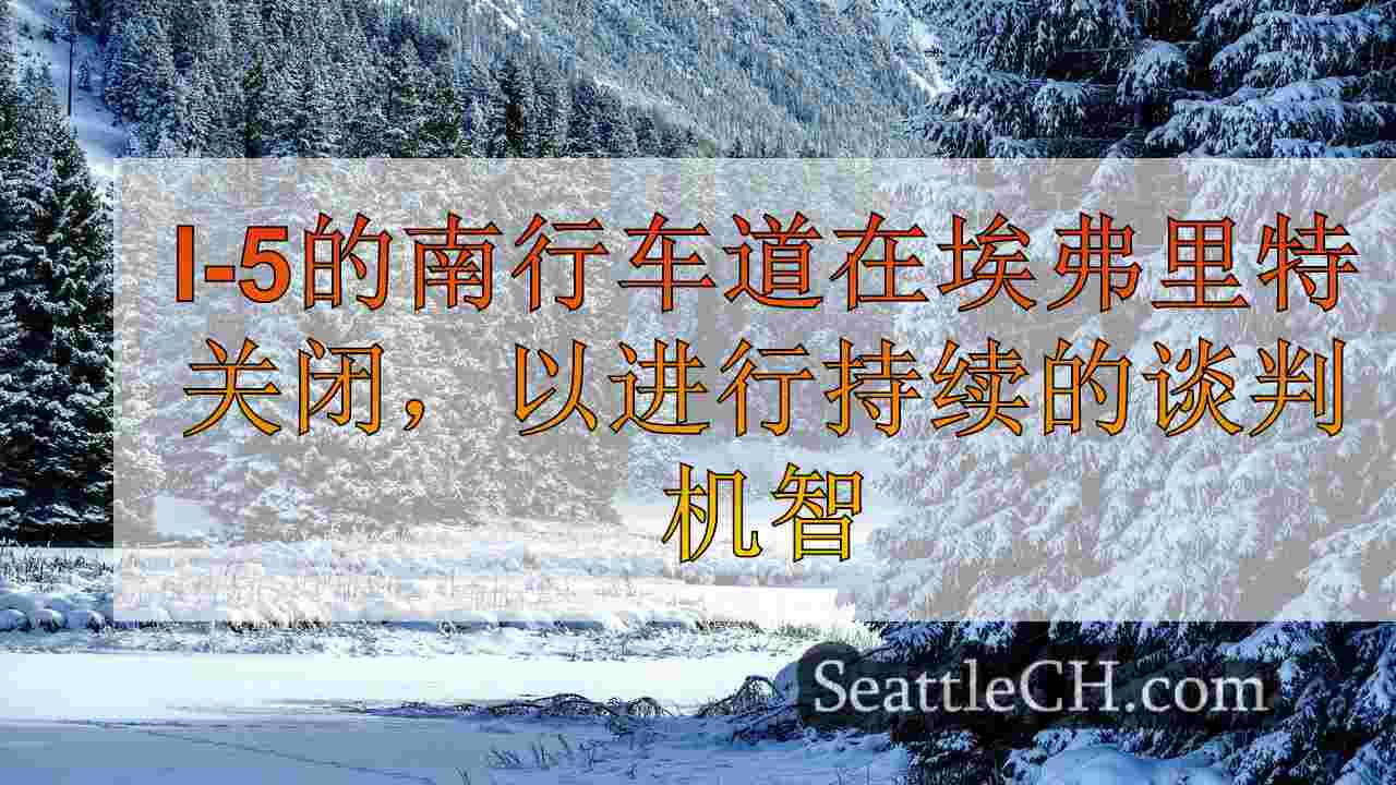 西雅图新闻 SeattleCH
