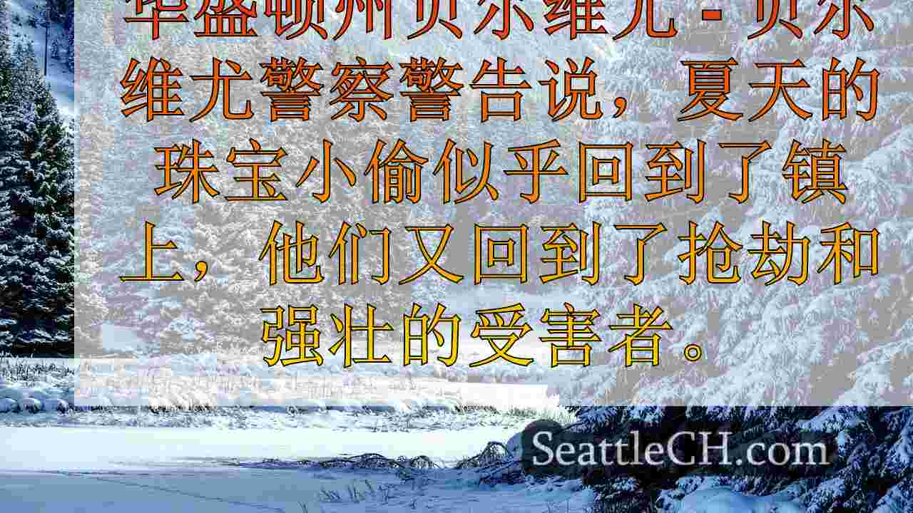 Bellevue PD警告珠宝小偷回到镇上