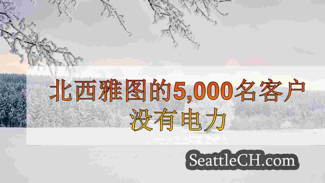西雅图新闻 SeattleCH