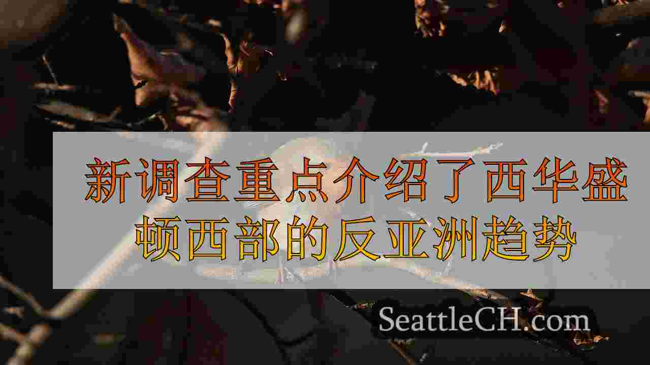 西雅图新闻 SeattleCH