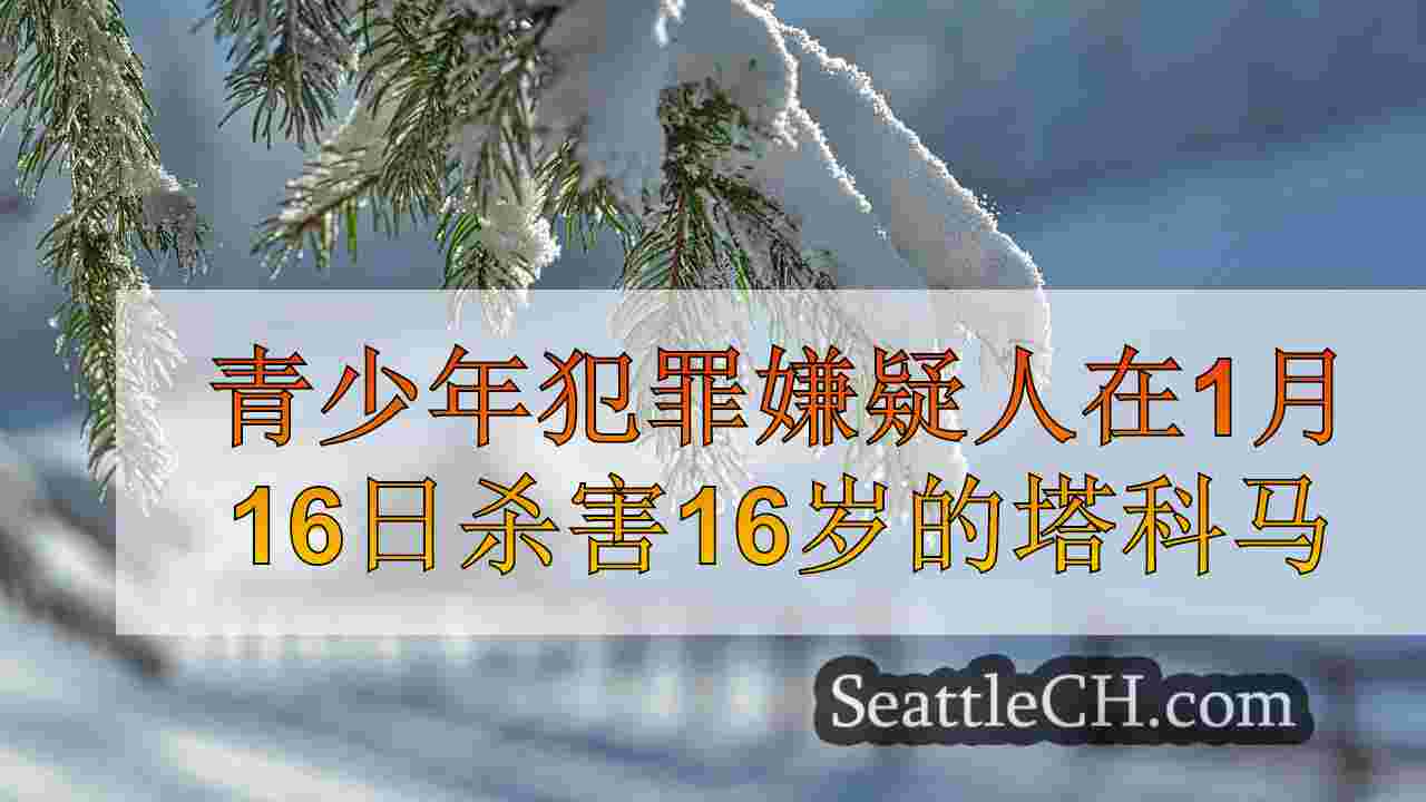 西雅图新闻 SeattleCH