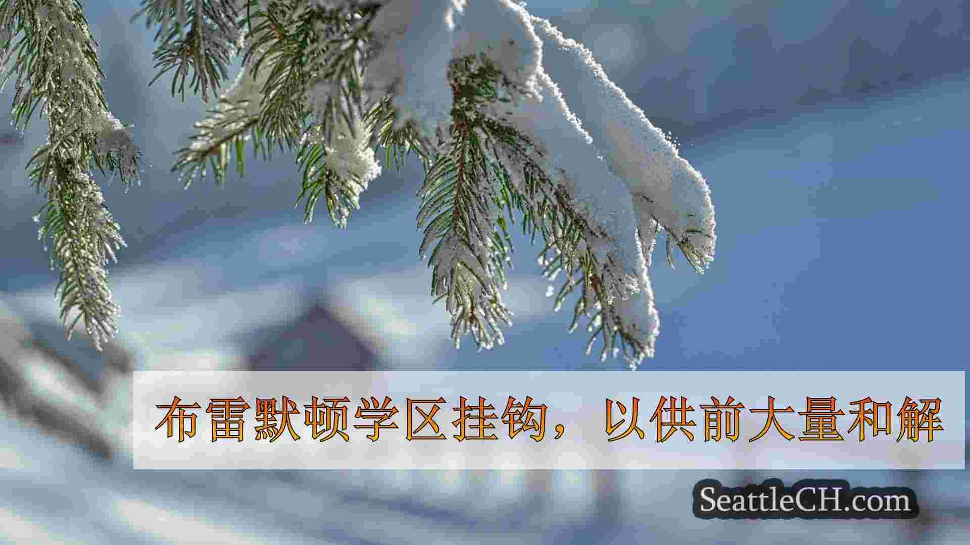 西雅图新闻 SeattleCH