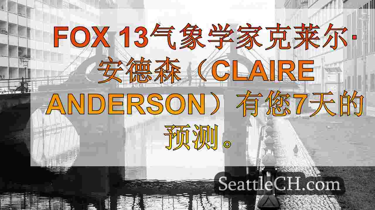 西雅图新闻 SeattleCH