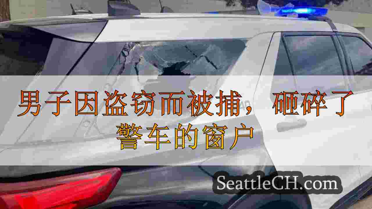 男子因盗窃而被捕，在肯纳威克撞上了警车的窗户