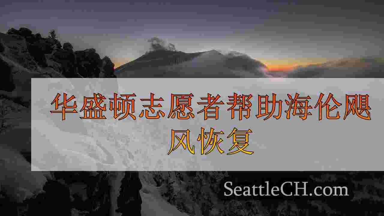 西雅图新闻 SeattleCH