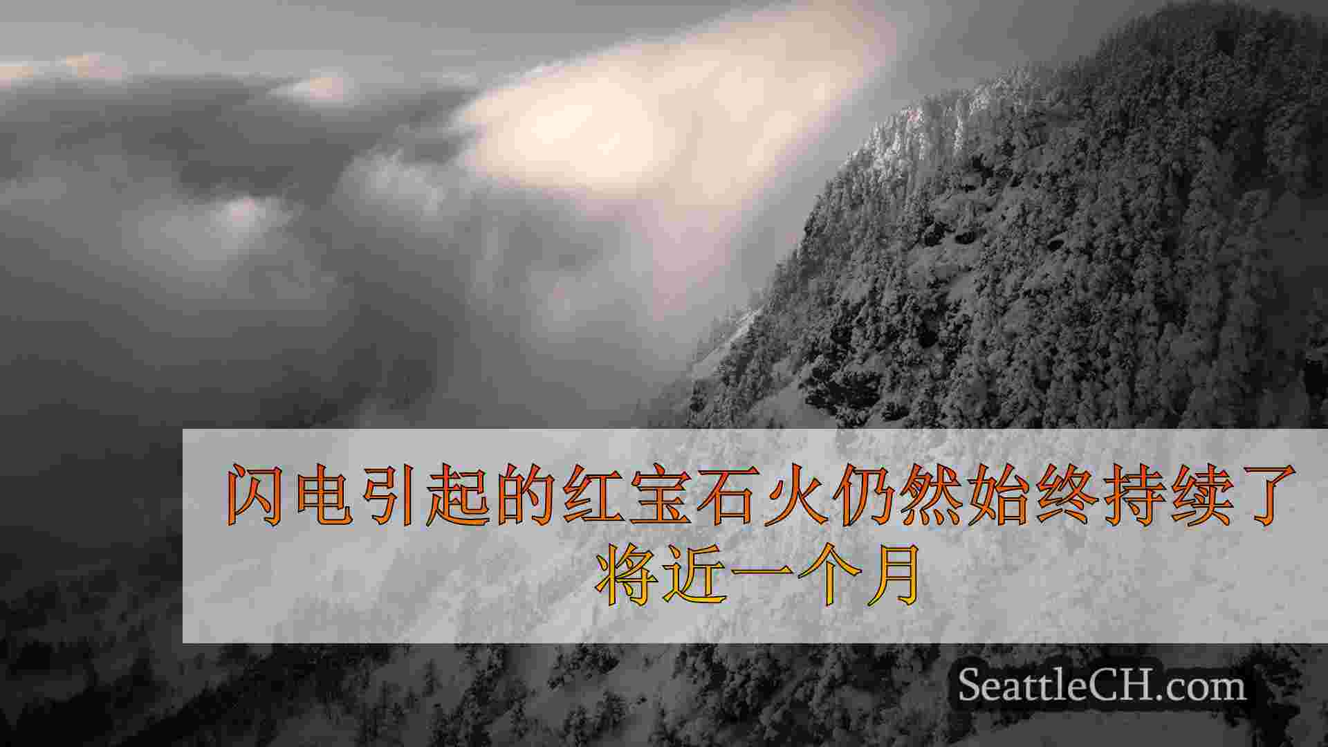西雅图新闻 SeattleCH