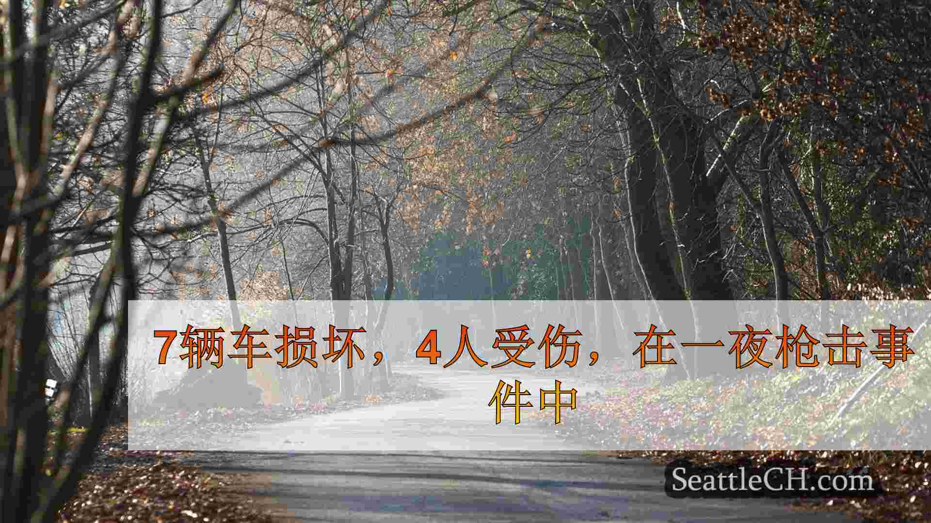 西雅图新闻 SeattleCH
