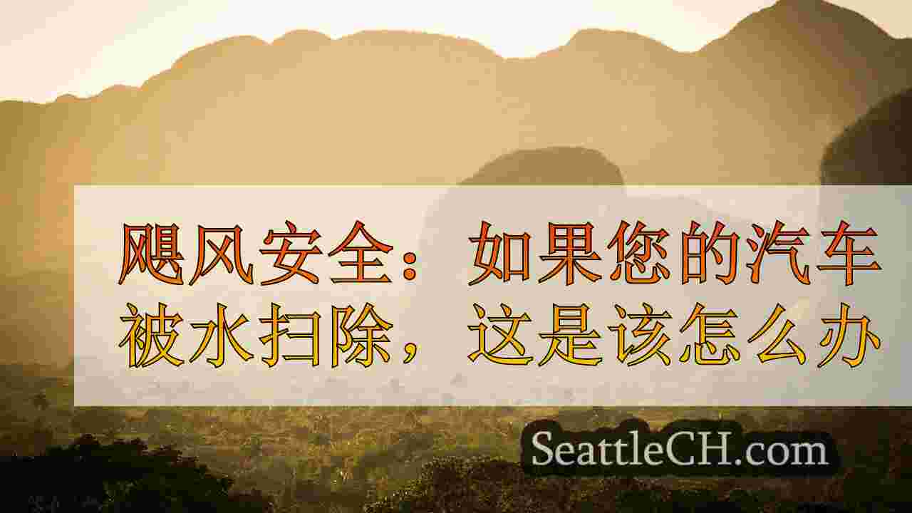 西雅图新闻 SeattleCH