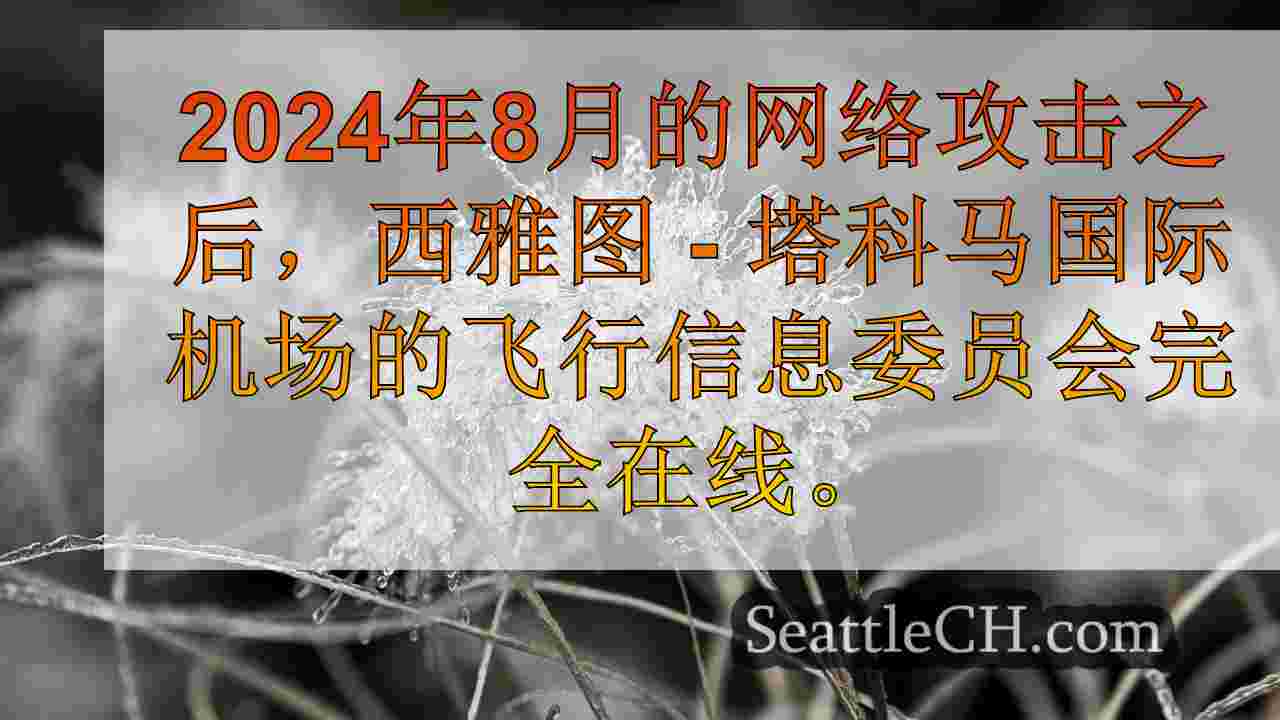 西雅图新闻 SeattleCH
