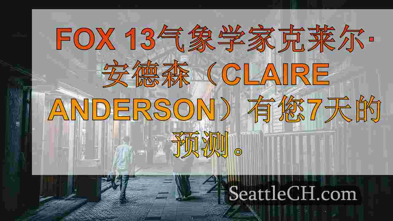 西雅图新闻 SeattleCH