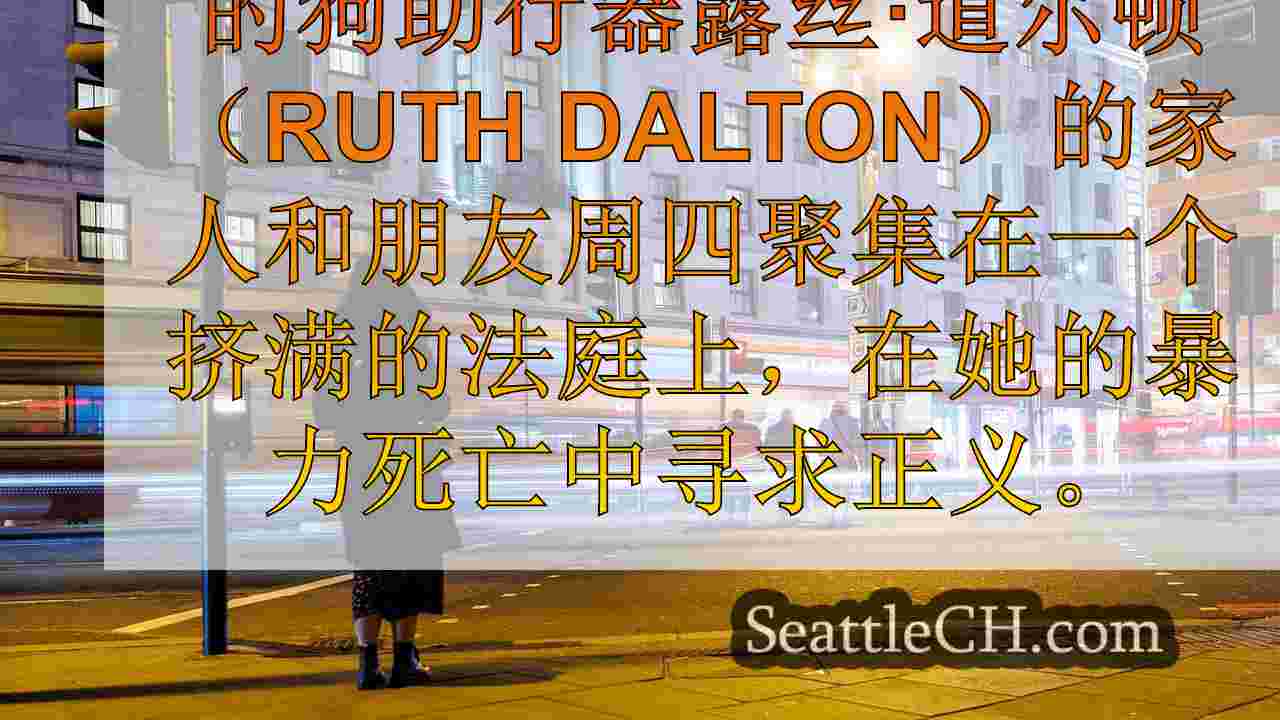 西雅图新闻 SeattleCH