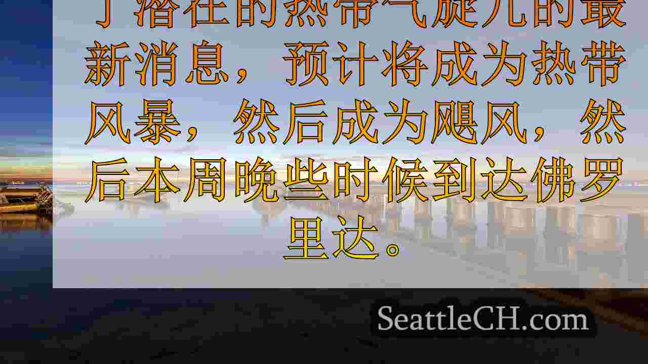 西雅图新闻 SeattleCH