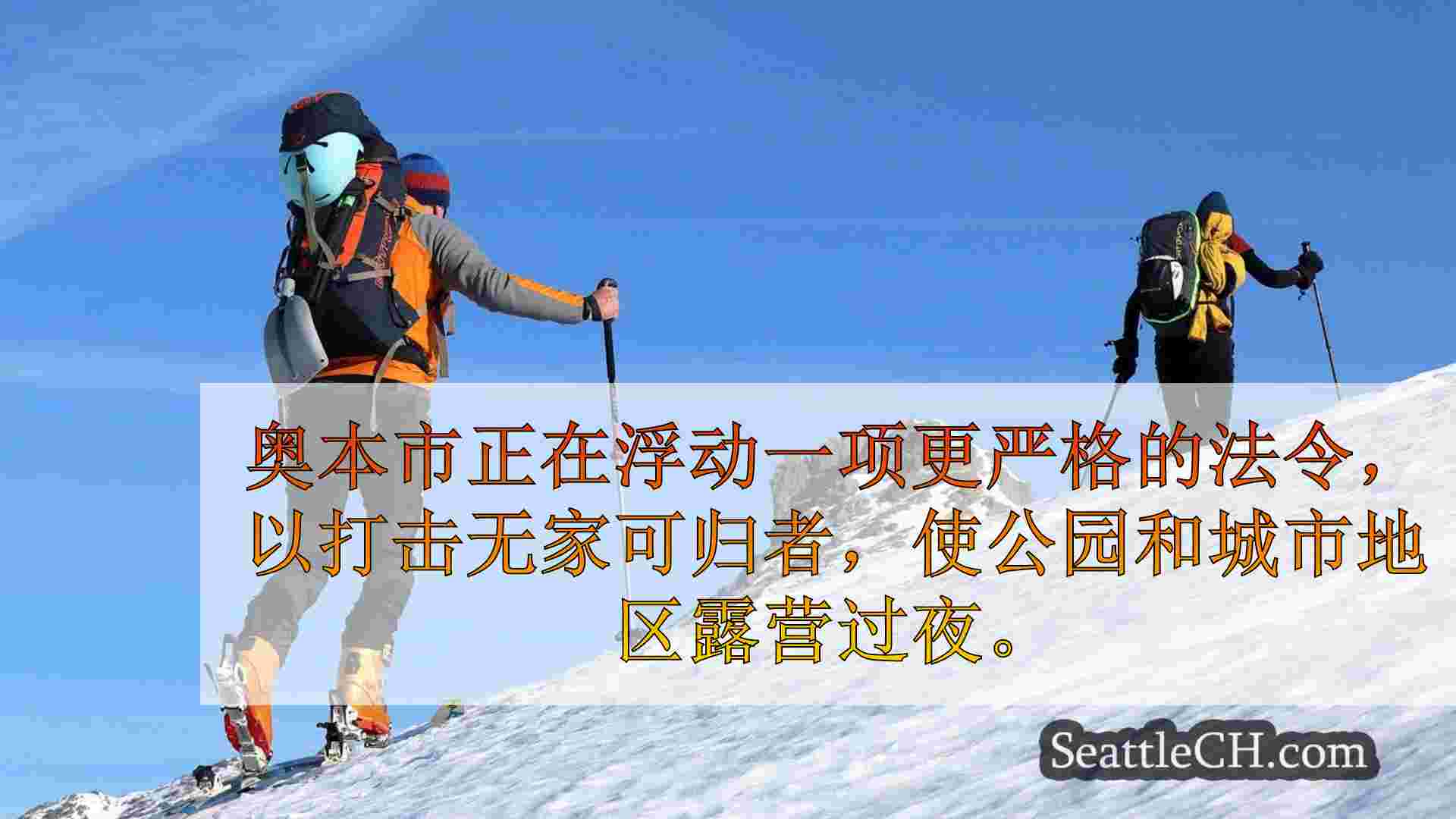 西雅图新闻 SeattleCH