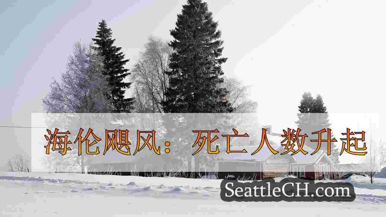 西雅图新闻 SeattleCH