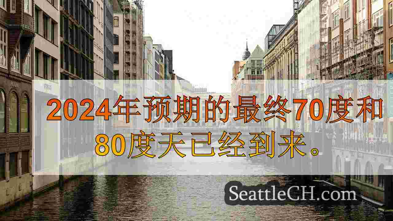 西雅图新闻 SeattleCH