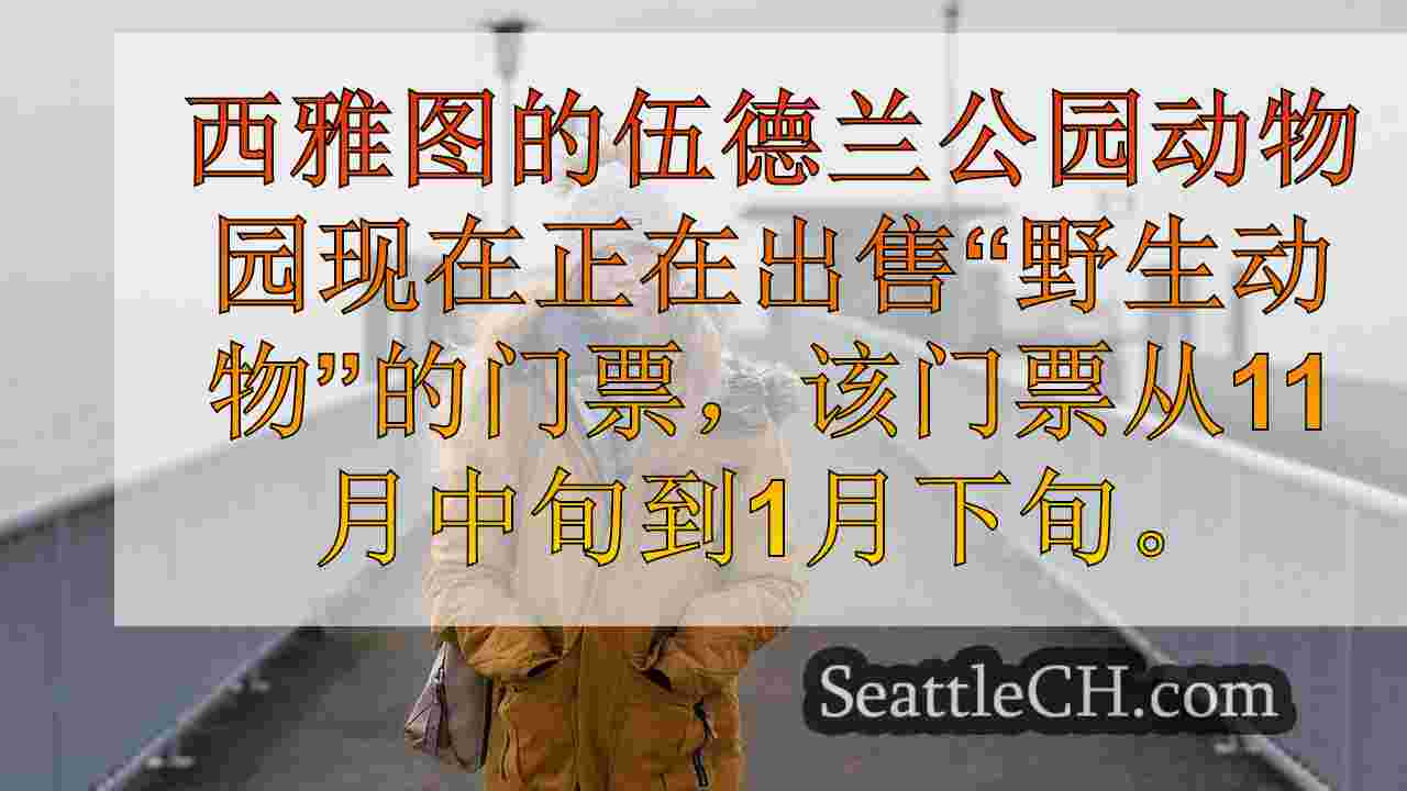 西雅图新闻 SeattleCH