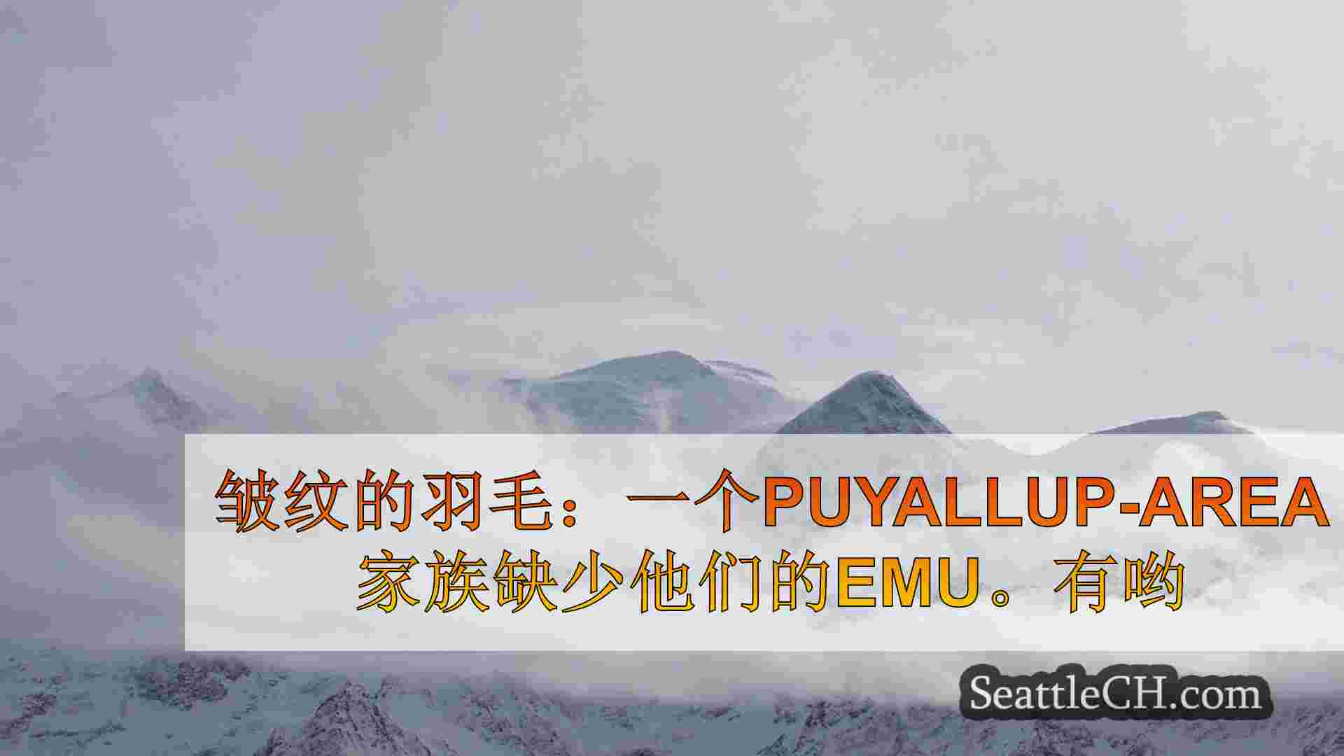 西雅图新闻 SeattleCH