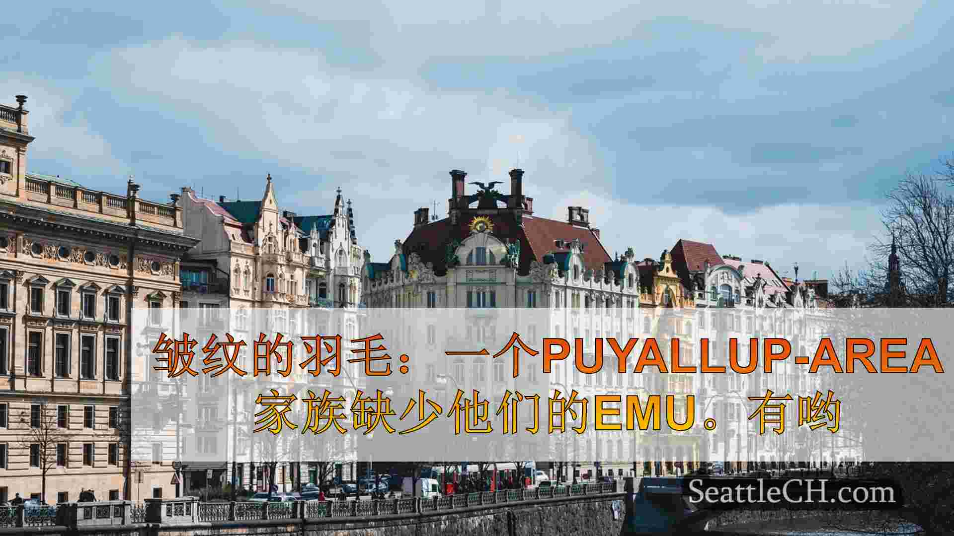 西雅图新闻 SeattleCH
