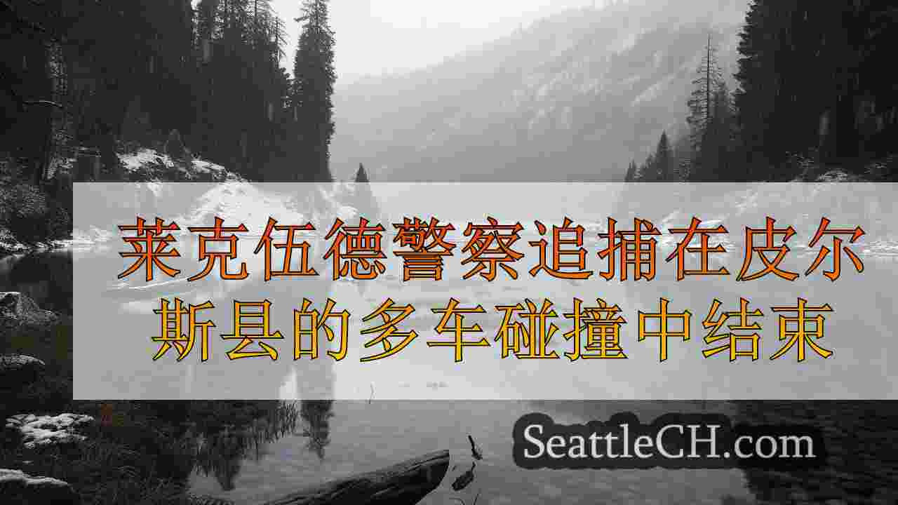 莱克伍德警察追捕在皮尔斯县的多车碰撞中结束