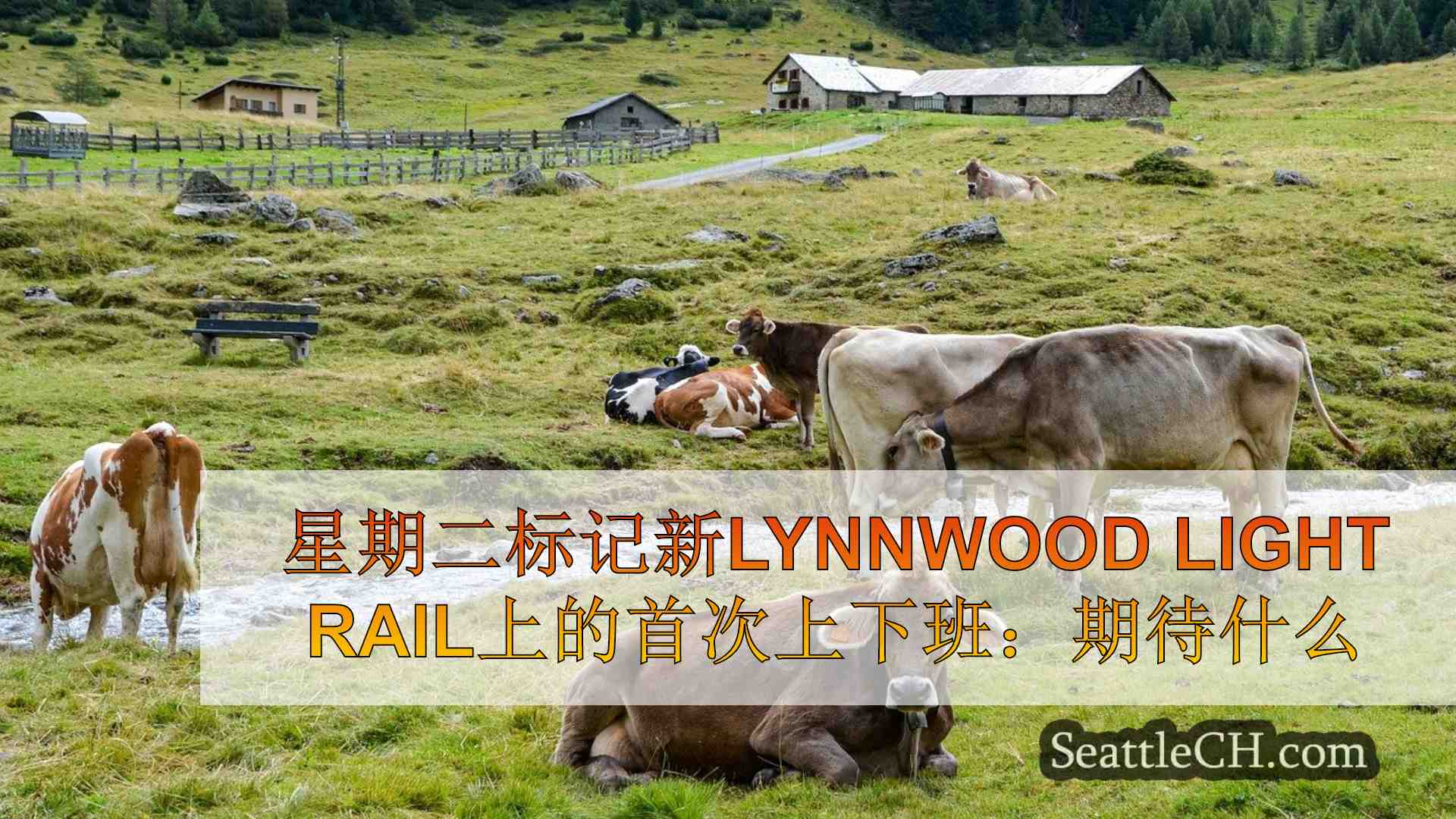 西雅图新闻 SeattleCH