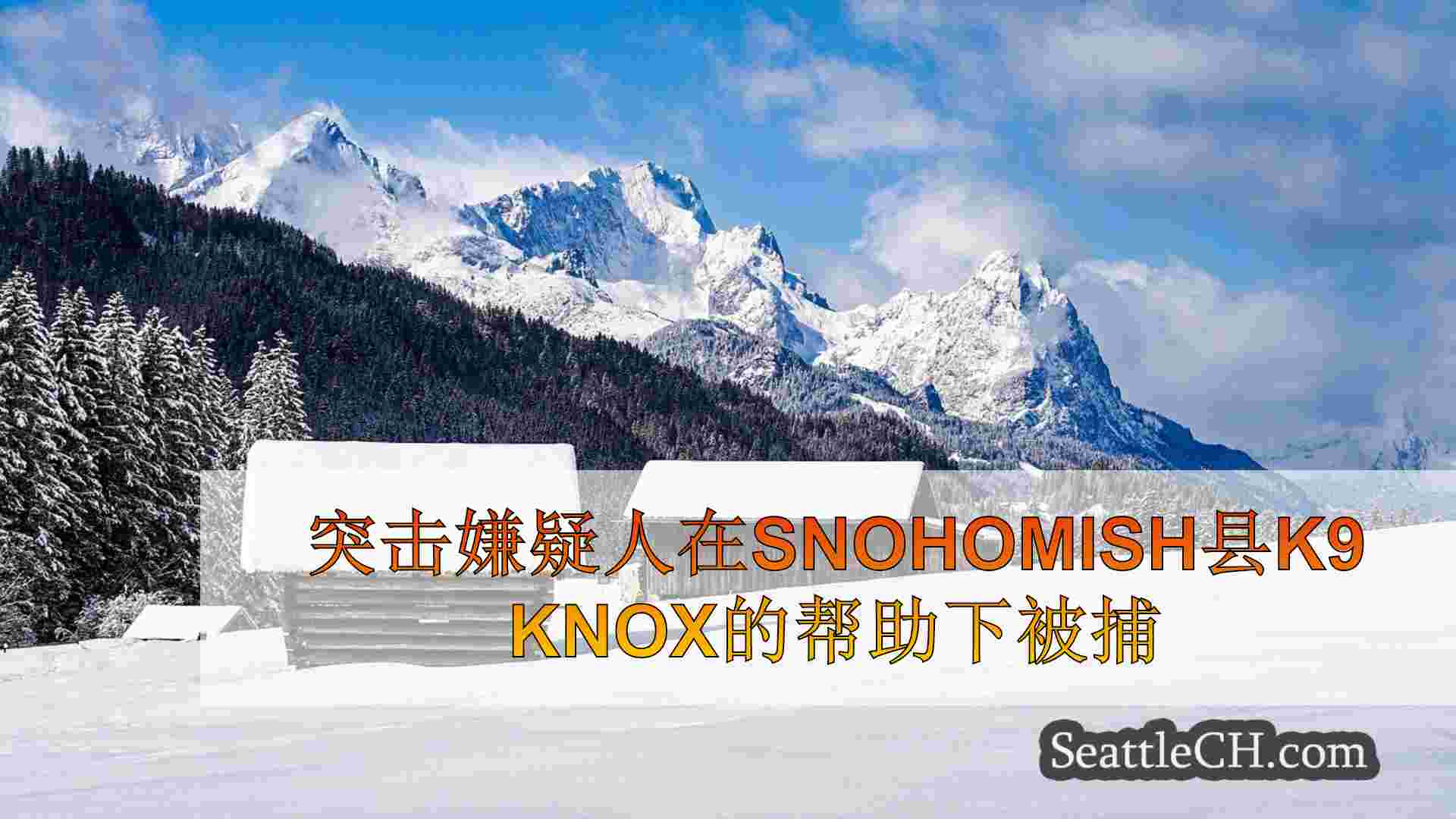 突击嫌疑人在Snohomish县K9 Knox的帮助下被捕
