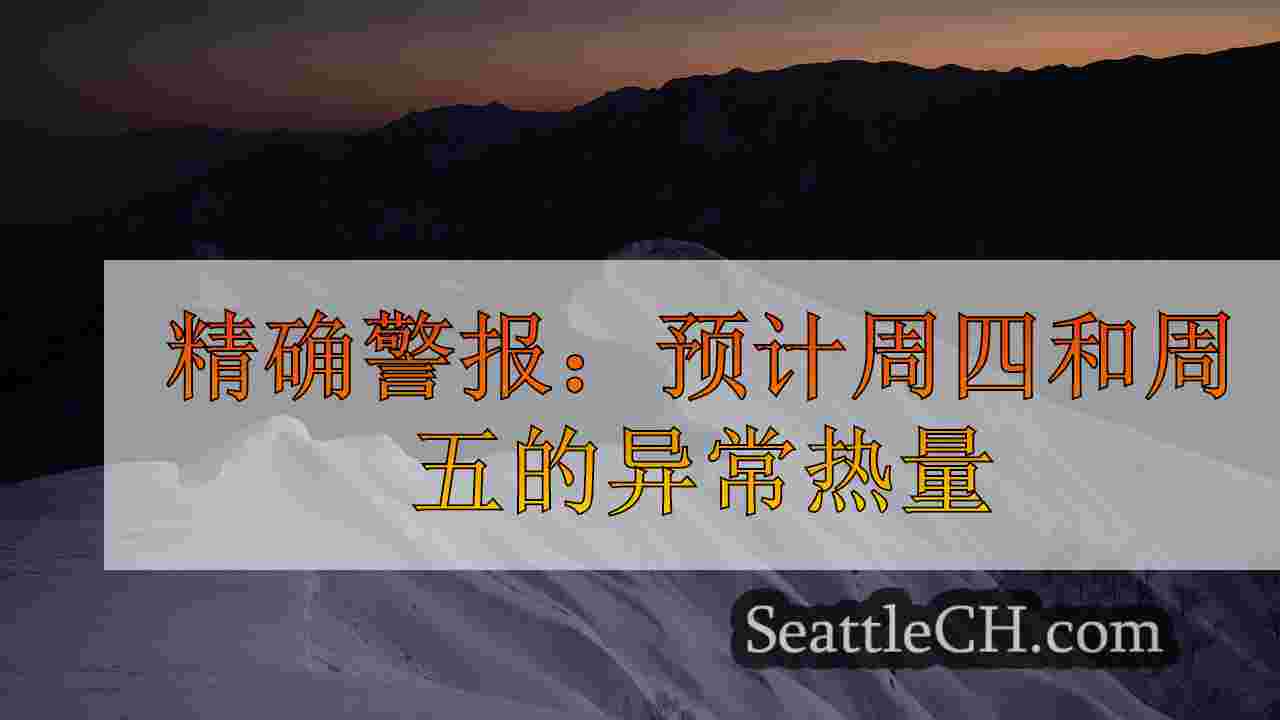 西雅图新闻 SeattleCH