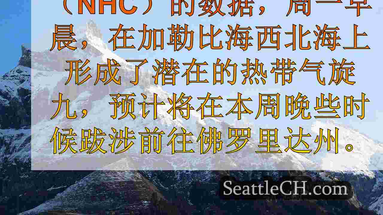 西雅图新闻 SeattleCH