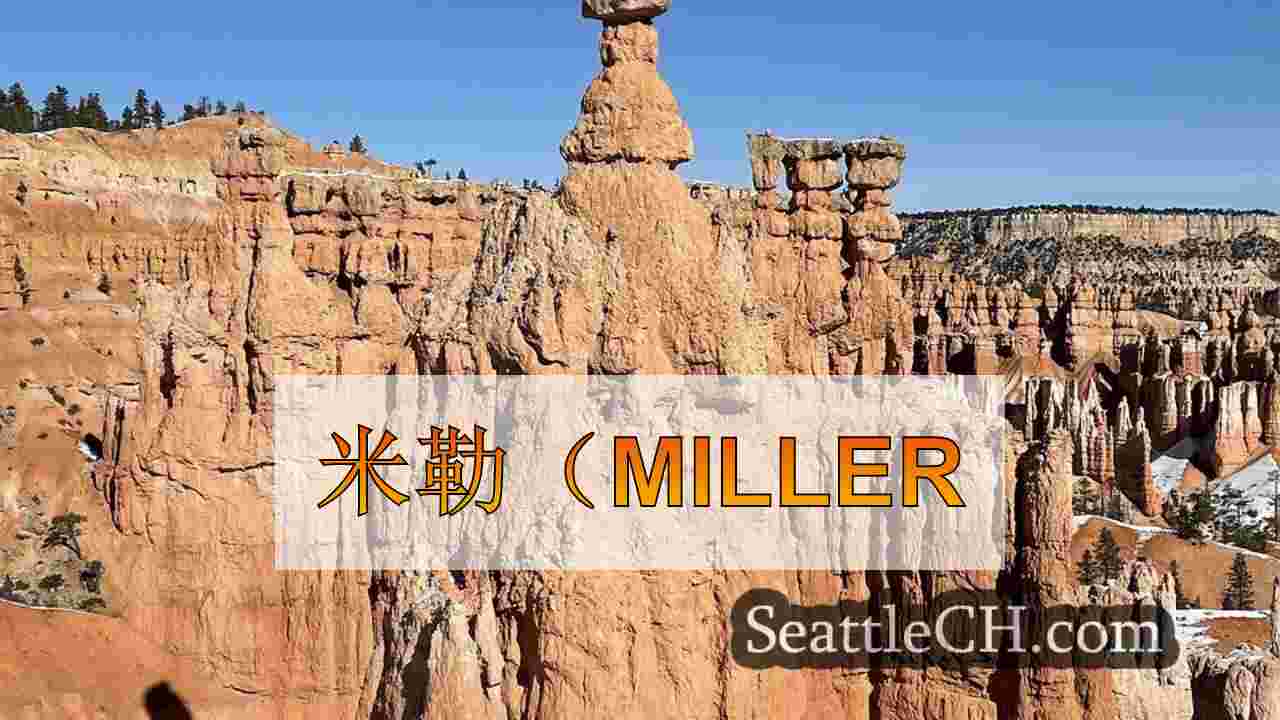 西雅图新闻 SeattleCH