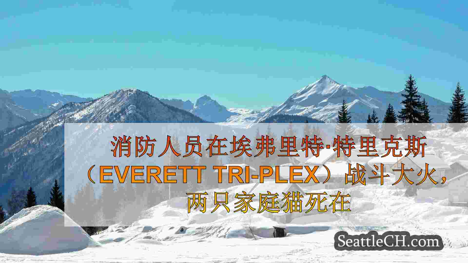 西雅图新闻 SeattleCH