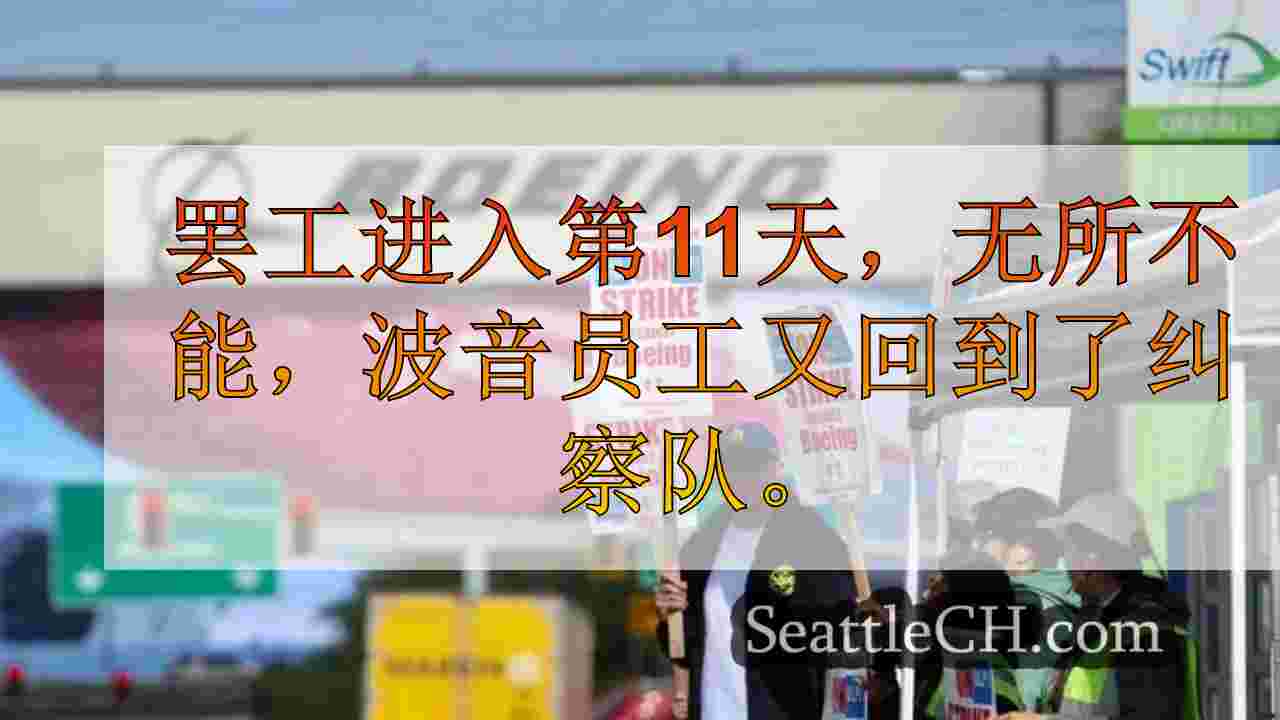 西雅图新闻 SeattleCH